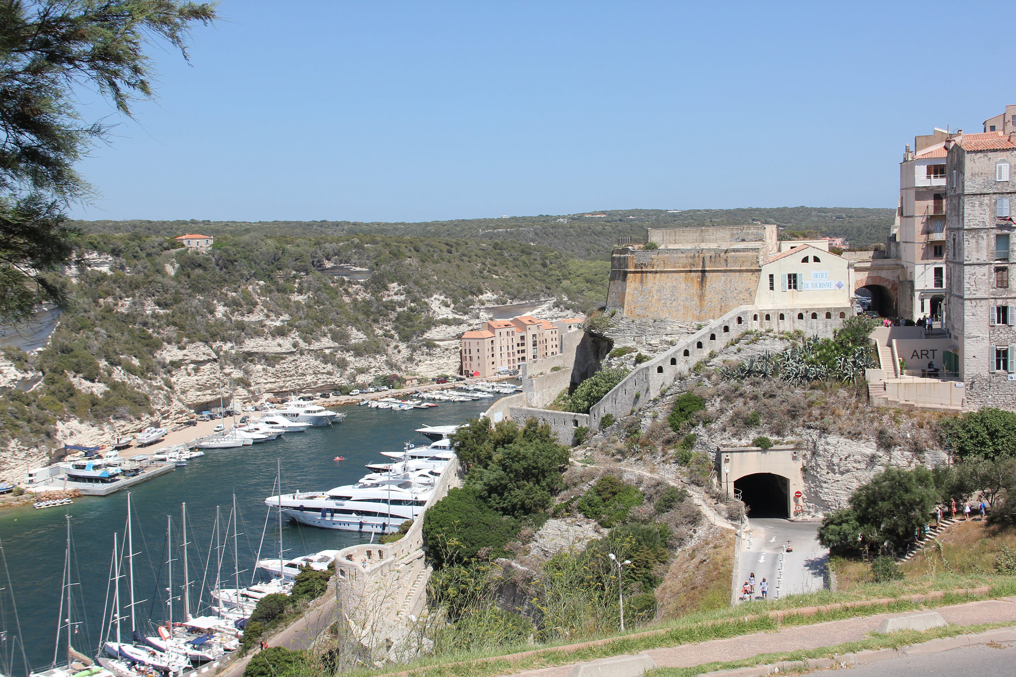 Bonifacio